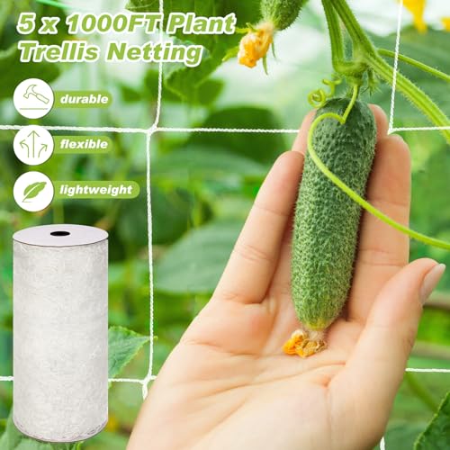 Berlune 5 x 1000 ft Trellis Netting Roll Heavy Duty Nylon Garden Trellis Netting with 6 Inch Mesh Soft Plant Support Net for Climbing Plants, Grape Racks, Growing Support Bean, Pea, Tomatoes - size: 5 x 1000 ft