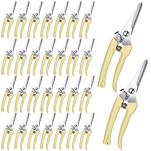 Chumia 30 Pcs Garden Shears Flower Pruning Scissors for Plants, Beige