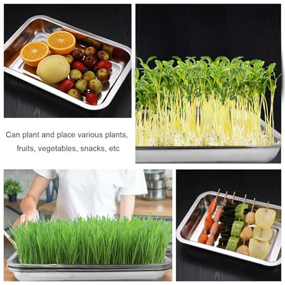 RooTrimmer 10 Pack Stainless Metal Trays, Stainless Steel Seed Starter Carry Tray for Nursery Seedling Pots Water Collection Transplantation (10.63 inch×14.17 inch, 1.18" Height) - size: Small-10P