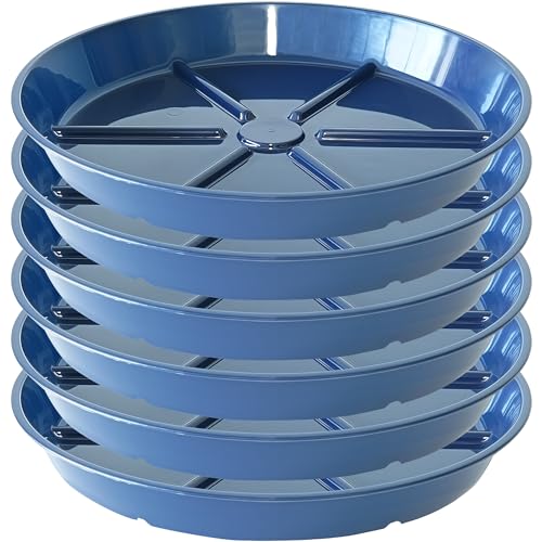 Plant Saucer Pot Tray 8 inch, 6 Packs Flower Planter Saucers and Drip Trays, Blue - color: Blue, size: 8" - 6 Pack