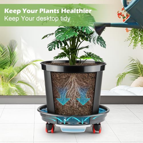 RooTrimmer 13 Inch Plant Stand Rolling Tray Plant Caddy with Wheels and Removable Drainage Holes and Drip Tray Plant Dolly for Heavy Duty Large Plants Rollers (2 Pack) - size: 13.4 In