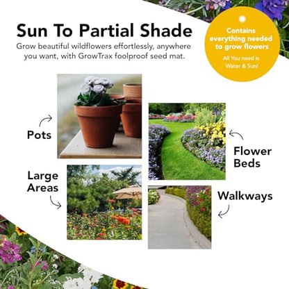 Growtrax Pollinator Wildflower & Sunflower Seed Mix - 40 Sq Ft - style: Pollinator Mix