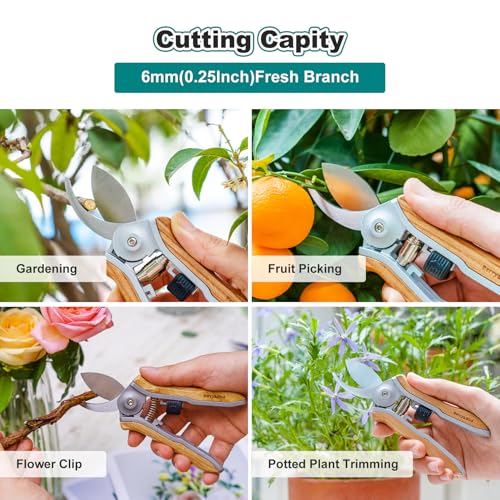 Berry&Bird Mini Pruning Shears for Gardening Curved Blades Hand Pruners with Wooden Handle Garden Scissors Snips Stainless Steel Trimming Small Clippers Bonsai Compact Size Sheaering Tool - style: 6.1'' Mini Curved Blade Scissors