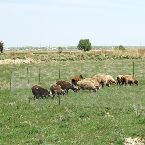 Non Electric Fence Netting 40" x164' Poultry Fence with Double Spiked Post - size: 40in x 164ft