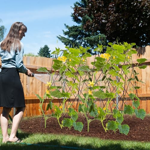 Cucumber Trellis 2 Pack,Foldable A-Frame Garden Trellis - color: Black, size: 39.4" H
