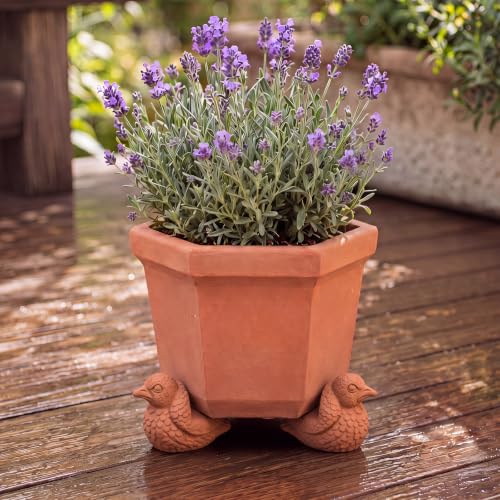 LemonRoad 12 Set Bird Pot Feet for Outdoor Planters, Terra Cotta Cement - size: Bird