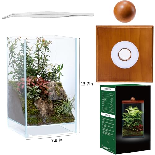 Large Glass Plant Terrarium: 13.7H+7.8W Terrarium with Light - size: H-13.7IN