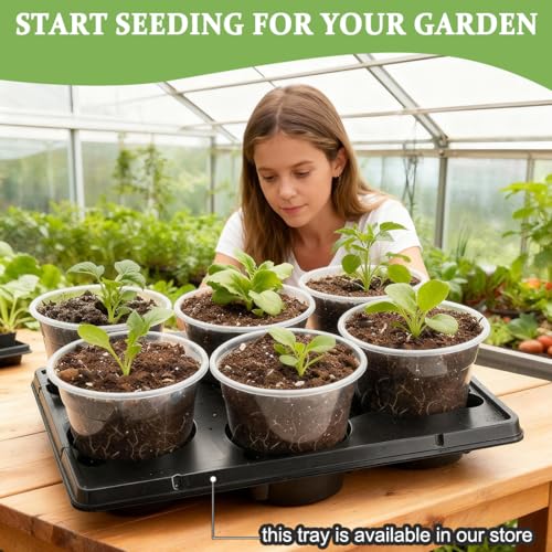 RooTrimmer 60 Pack 6 Inch Clear Nursery Pots for Plants, Flexible Plastic Plant Pots with Drainage Holes, Transparent Plant Starter Pots for Seedlings, Vegetable, Succulents, Flowers - size: 6Inch 60P