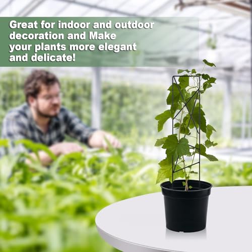 17.5 inch Small Trellis for Potted Plants, Metal Plant Trellis Indoor - color: Star-Metal
