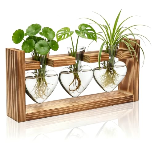 Plant Terrarium Propagation Station Air Planter Bulb Glass Vase with Wooden Stand 3 Heart Shaped Glass Vases
