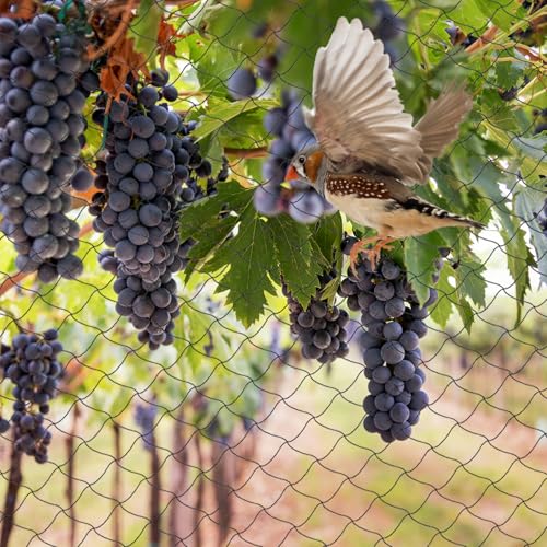 25 x 50 Ft Bird Netting with 2.4" Square Mesh Bird Net for Chicken Coop
