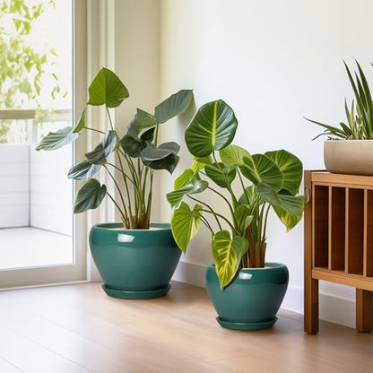 Ceramic Pots for Plants, 10+8+6 Inch Ceramic Plant Pot, Dark Green - color: Dark Green