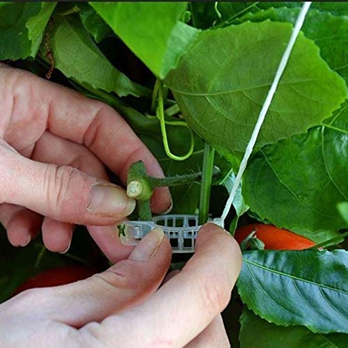 MIHEY 300 Pcs Tomato Trellis Clips for Garden Support