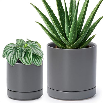 D'vine Dev 2-Pack Ceramic Pots with Saucers, Grey, 4/6 in, 94-G-S-3 - color: Gray, size: Small
