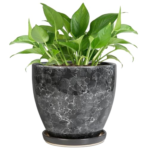 Ceramic Pots for Plants - 6 Inch Ceramic Planter with Drainage Hole and Saucer, Modern Planters for Indoor Outdoor Plants, Round Planter, Home Garden Decor, Plant Lover Gifts, Grey - color: Grey Gemstone, size: 6 Inch