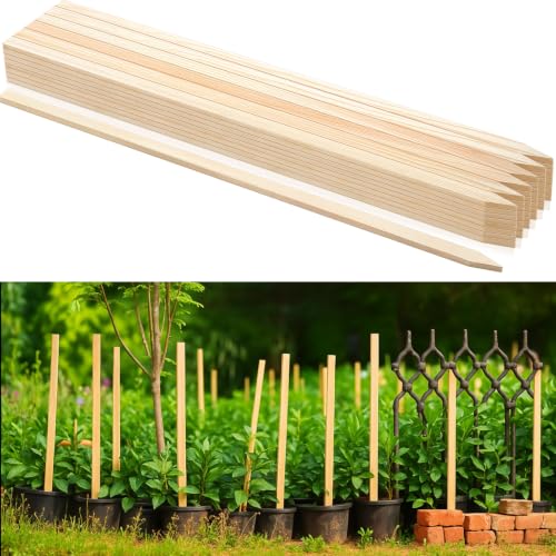 Colingmill 20 Pieces Wooden Garden Stakes 48 Inch Grade and Survey Stakes Wooden Garden and Sign Posts for Plant Support Silt Fence Yard Farm Survey Boundaries Baselines - size: 48 Inch