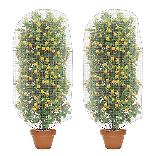 Alpurple 2 PCS Insect Bird Barrier Netting Mesh with Drawstring- 4.6 x 3 Ft Garden Bug Netting Plant Cover- Fruit Tree Net for Protect Plant Fruits Citrus Flower from Insect Bird Eating - color: 2 Pcs, size: 4.6x3 ft