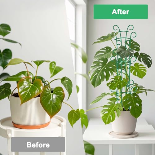 Plant Trellis for Potted Plants 4 Pack Stackable Indoor Outdoor Climbing Houseplant Support with Garden Wire for Pothos Hoya Ivy Flower - size: 4 Pack