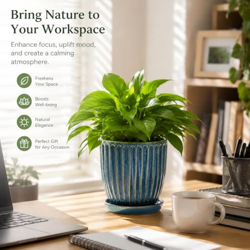 6-Inch Ceramic Plant Pots with Drainage Hole, Modern Flower Pots - size: 6 Inch