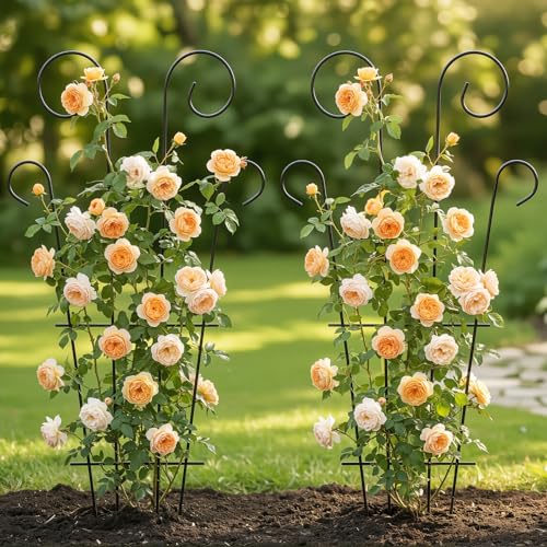 4 Pack 43'' Large Metal Plant Trellis for Climbing Plants - size: 43 inch
