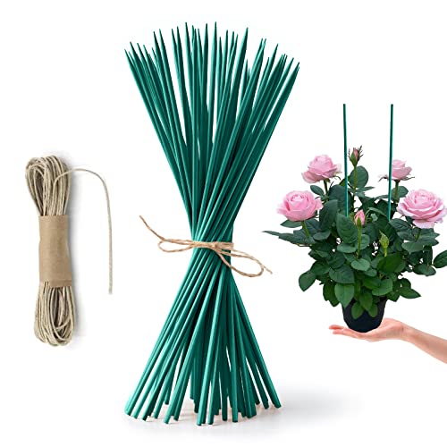 HOPELF 50 Pack 12" Bamboo Plant Stakes for Wood Garden Sticks，Wooden Plant Supports，Indoor Gardening Plant Supports，Floral Plant Support ，Potted Plants，Crafts, More Size Choices 8"/12"/16" - color: Green, size: 12 inch