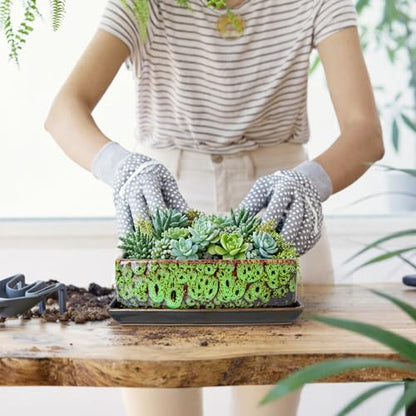 Succulent Pots - Long Rectangle Succulent Planters with Drainage Tray - color: Green