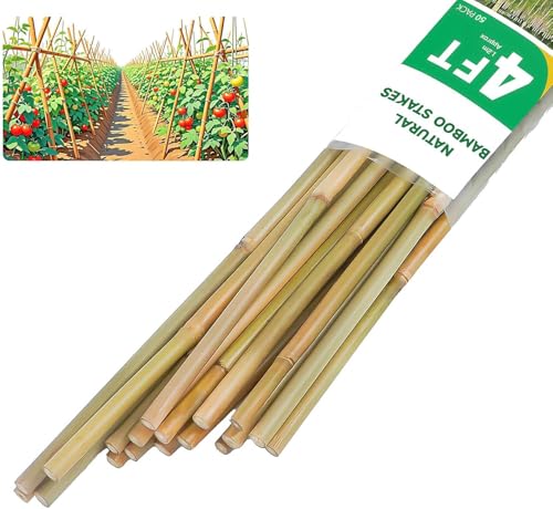 Natural Bamboo Plant Stake, （4FT 50Pcs） Sturdy Bamboo Poles, Durable Plant Bamboo Stake, Garden Climbing Plant Bracket. - size: 4ft-50pcs