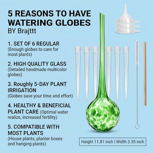 Plant Watering Globes, 6pcs Automatic Glass Watering Bulbs, Decorative Garden Watering Glass drip Ball with 6 Tags - color: Set of 6 Large