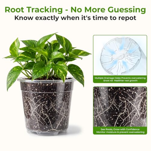 Sturdy 12 Pack Clear Nursery Pots 5/6/6.5/7.5/8/10 Inch with Drainage Holes