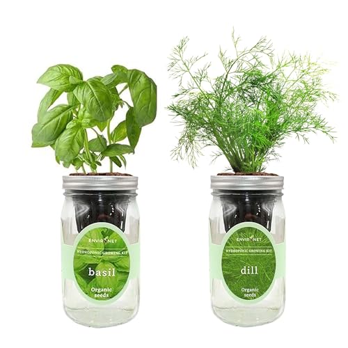 2-Pack Hydroponic Mason Jar Herb Garden Kit, Indoor Herb Garden Self-Watering Starter Kit (Basil,Dill)