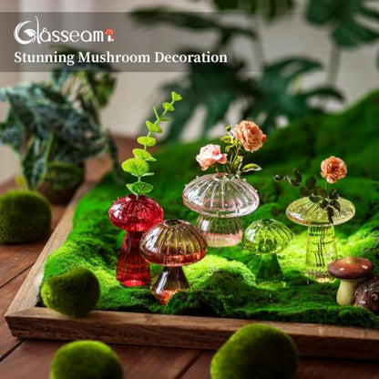 Glasseam Mushroom Plant Propagation Station: 5 Pcs Glass Mini Terrarium - color: Colorful, size: 5