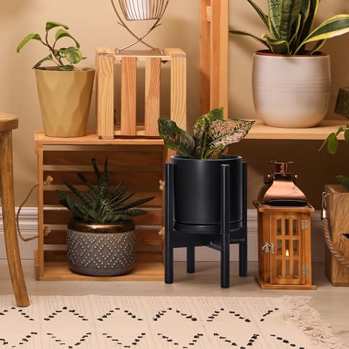 D'vine Dev Ceramic Pot with Ebony Wood Stand, Black, 8 in, 55-B-M-2 - color: Black Pot + Ebony Stand, size: 8 Inch