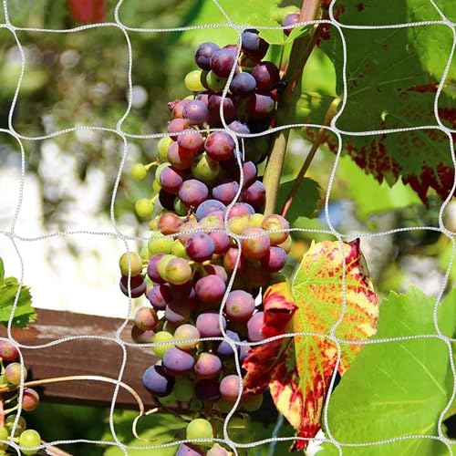 Tcamp Heavy-Duty Polyester Plant Trellis Netting - size: 6" Mesh (5*30 Ft) - 2Pack
