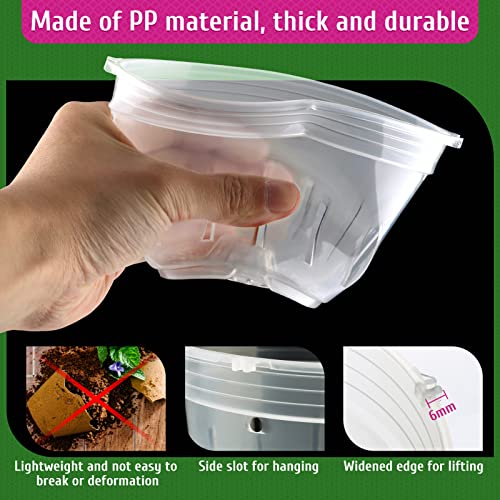 REMIAWY Orchid Pot, 9 Pack Orchid Pots with Holes, 3 Each of 4.8, 5.7 and 6.4 Inch Clear Flower Planter for Repotting, Plastic Slotted Nursery Planters Indoor Outdoor - size: 3 Each of 4.8", 5.7", 6.4"