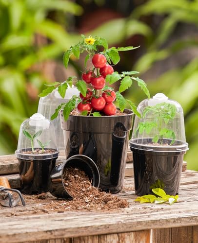 homenote 3/4/5 Inch Black Plastic Nursery Pots with Humidity Domes (15 Pcs) - color: Black-with Lid, size: 3/4/5 Inch-15 Pack