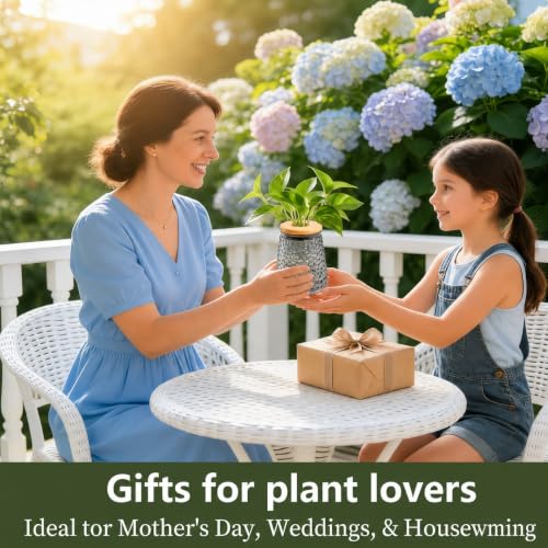 Desktop Plant Hydroponic Vases, Water Plant Jars, Gardening Gifts for Office and Home, Outdoor, Gray Ripple Pattern - color: Gray Ripple Pattern