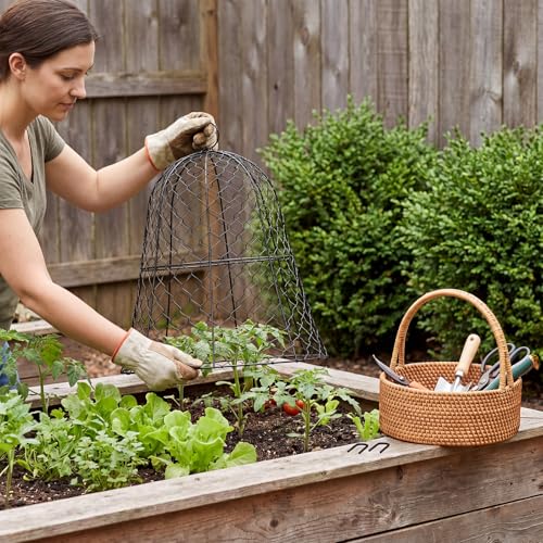 Sadnyy 12 Pack Garden Chicken Wire Cloche, 13" W x 15.7" H Plant Protectors and Covers Wire Garden Cloches from Animals Metal Cage Plant Protection Strong and Not Easy to Deform No Assembly Required - size: 13" D X 15.7" H, style: Classic Style