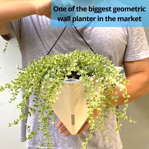 LaLaGreen Wall Planters for Indoor Plants (12in, 2 Pack) White Planter - color: White X 2 Pack