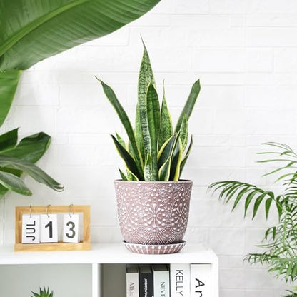 Gepege 8 Inch Ceramic Plant Pot with Drainage & Saucer - color: Clay+white, size: 8 Inch