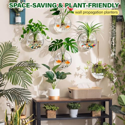 Window Propagation Stations, Wall Hanging Planters for Hydroponics
