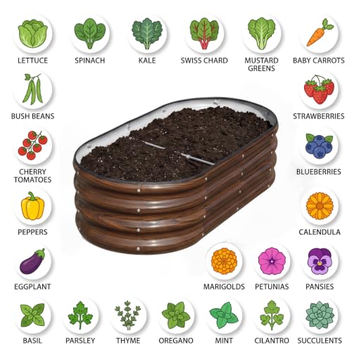 SnugNiture Raised Garden Bed Outdoor 4x2x1ft, 2 Pack - color: Brown