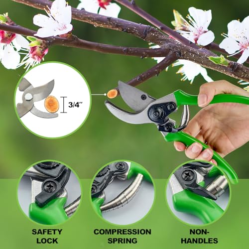 Pro Pruning Shears - Heavy Duty Garden Shears with SK-5 Steel Blades, Ergonomic Non-Slip Handle Tree Branch Cutter & Flower Arranging Tool