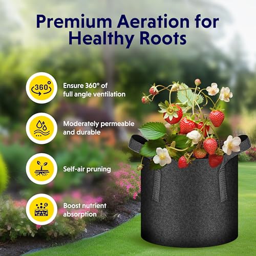 iPower Plant Grow Bag 3 Gallon 20-Pack Heavy Duty Fabric Pots, 300g Thick Nonwoven Fabric Containers Aeration with Nylon Handles, for Planting Vegetables, Fruits, Flowers, Black - color: Black, size: 20pack