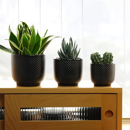 4 + 5 + 6 Inch Ceramic Pots for Indoor Plants, Succulents Plant Pots, Orchid Flower Pot with Drainage Hole, Modern Clay Stoneware Planters, Set of 3 (Black, 4+5+6 Inch) - color: Black