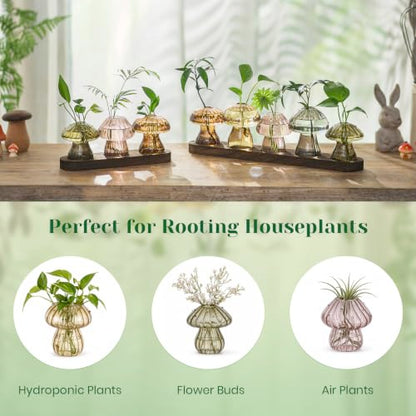 Hewory Plant Propagation Stations: 3PCS Amber Mushroom Vase with Wood Tray - color: Amber, size: 3