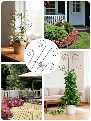 Metal Monstera Trellis, Expandable Garden Treleaf Trellis, Black - color: Gold-NEW