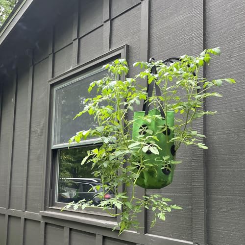 Upside Down Tomato Planter-3 Gallon Hanging Strawberry Planter Durable Aeration Fabric Grow Bags for Vegetables (Set of 2- Red and Green) - color: Set of 2- Red and Green
