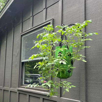 Upside Down Tomato Planter-3 Gallon Hanging Strawberry Planter Durable Aeration Fabric Grow Bags for Vegetables (Set of 2- Red and Green) - color: Set of 2- Red and Green