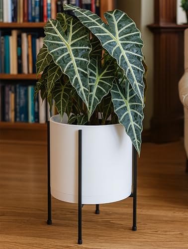 D'vine Dev Plastic Planter Pot with Metal Stand, White, 12 in, 55-D-A-3 - color: White, size: 12 Inch