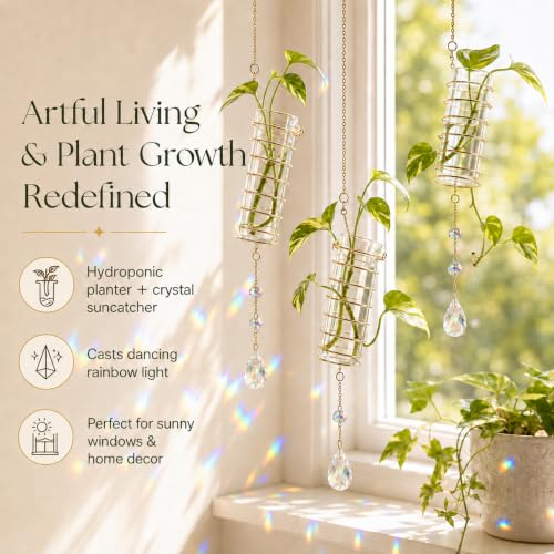 6 Pcs Hanging Propagation Stations with Crystal Suncatcher, Glass Hanging Planters for Indoor Plants, Hydroponic Plant Tubes for Windows & Home Decor, Colorful - color: Colorful